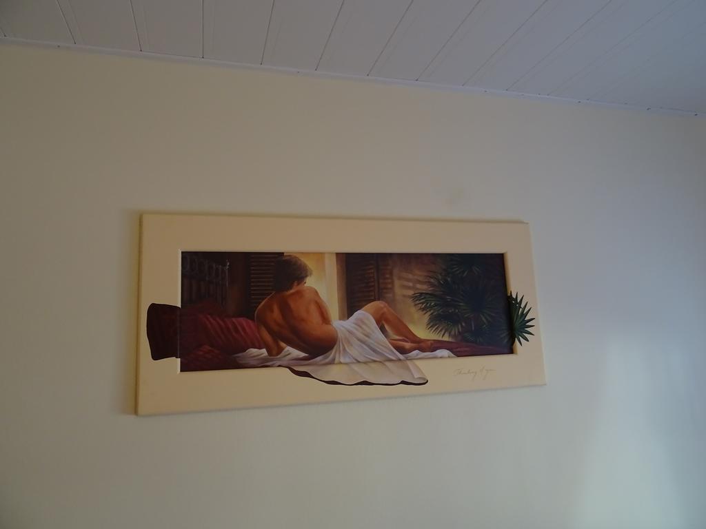 Apartment Euro As Kappel-Grafenhausen Dış mekan fotoğraf